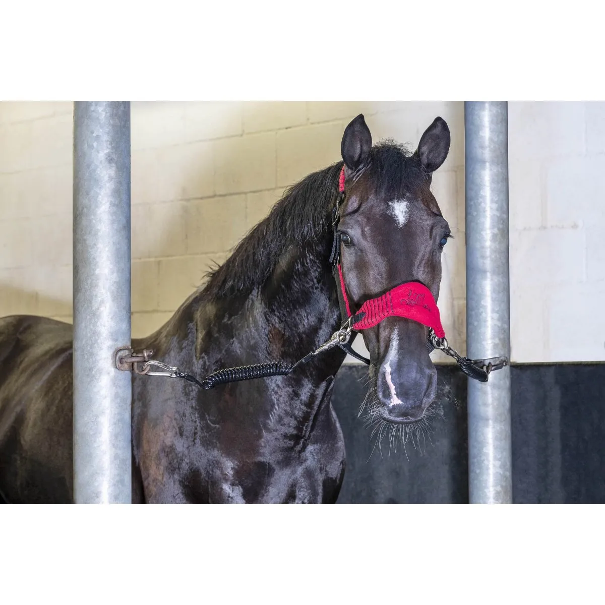 LeMieux Spring Tie Up